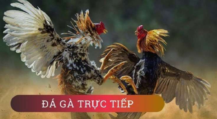 Điều kiện và biện pháp phòng ngừa để được thăng cấp lên cấp độ Cwin - Cwin