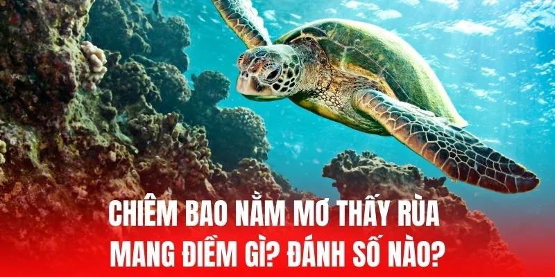 Các trò chơi phổ biến nhất trên cổng game C54 - C54