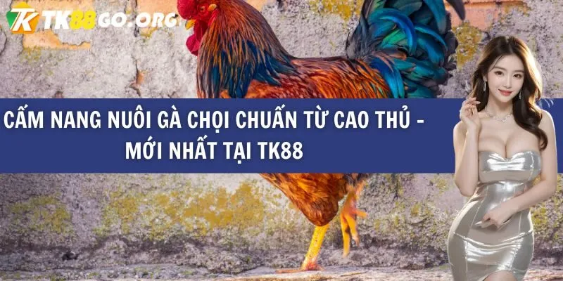 Những lý do nào dẫn đến tin đồn Z8bet là một trò lừa đảo? - Z8bet