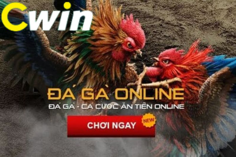 Cổng giao dịch trò chơi thẻ bài 89Bet - 89Bet