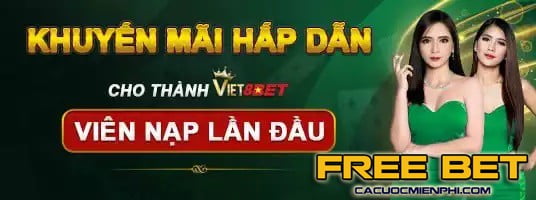 Thương hiệu này được tạo ra bởi một cổng game và cửa hàng game tầm cỡ Me88 - Me88