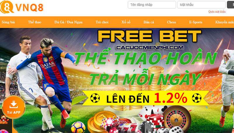 Bí quyết chiến thắng của First Bets Sbotop! - Sbotop