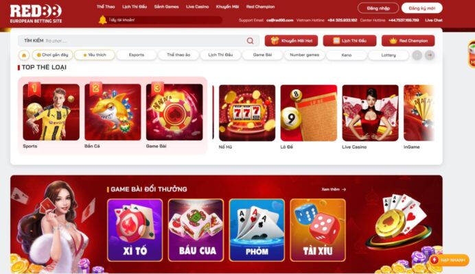 Tổng quan dữ liệu 79King tháng 12 năm 2026 - 79King