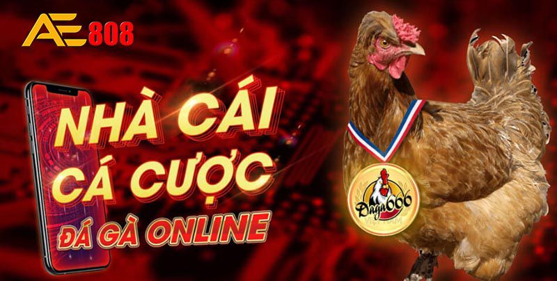 Tổng quan về phương pháp sạc nhanh 789Club - 789Club