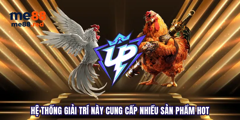 Tôi phải làm gì nếu không thể rút tiền từ tài khoản Gi8 của mình? - Gi8