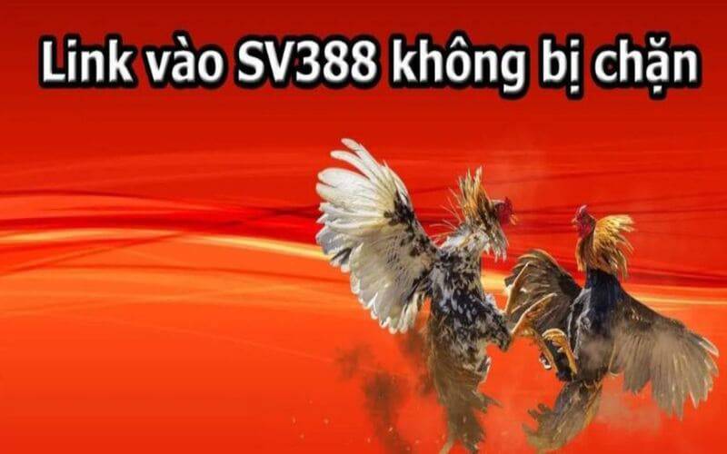 Các sự kiện thể thao Win88 cung cấp nhiều môn thể thao đa dạng - Win88