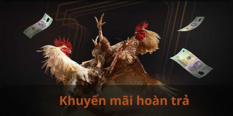 Tại sao các game được xếp hạng Melbet lại hấp dẫn người chơi đến vậy? - Melbet