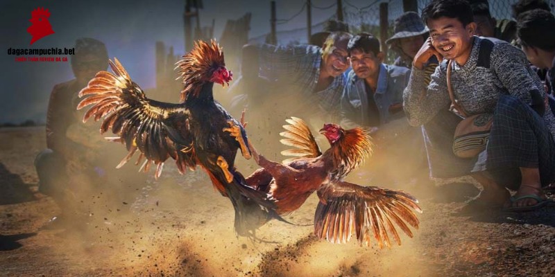 Me88 cung cấp dịch vụ nạp và rút tiền nhanh chóng - Me88