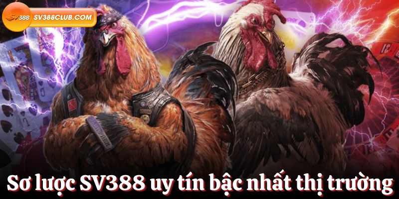 Tôi có nên đăng ký Soco88 bằng thông tin thật của mình không? - Soco88