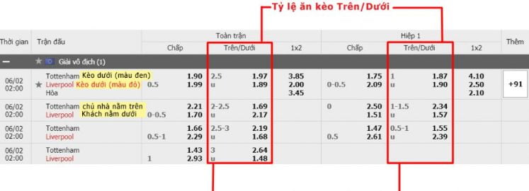 Chính sách ưu đãi cấp độ Dp568 cực kỳ hấp dẫn - Dp568