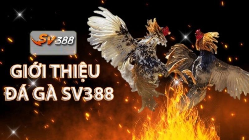 Cách tham gia trò chơi máy đánh bạc 89Bet - 89Bet