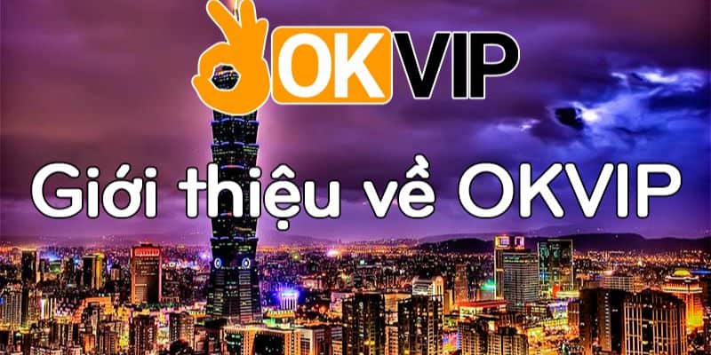Winwin cung cấp dịch vụ thông qua nền tảng trực tuyến - Winwin