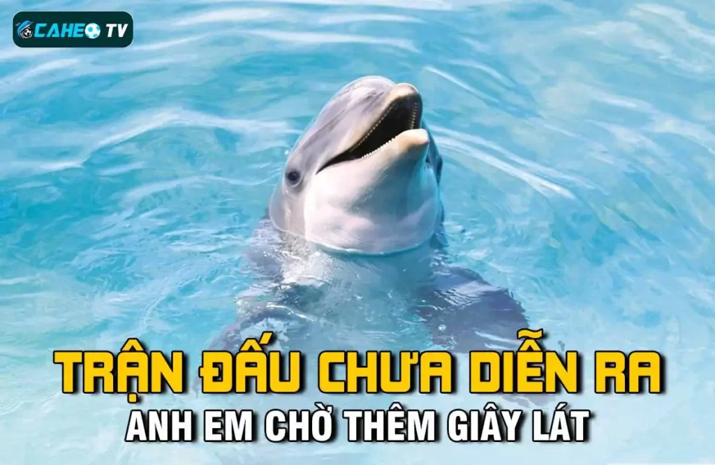 3 người đứng đầu sẽ được hưởng ưu đãi độc quyền cấp độ 78Win - 78Win