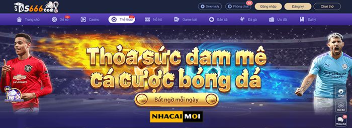 Trang web cá cược bóng đá hàng đầu cấp độ 66Vn - 66Vn