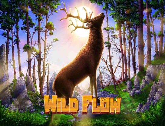 Wild Flow